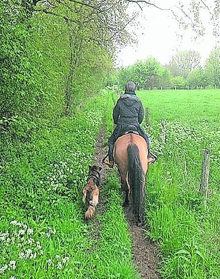  In manchen Waldstücken bleibt das Reiten nur auf ausgewiesenen Reitwegen erlaubt.  