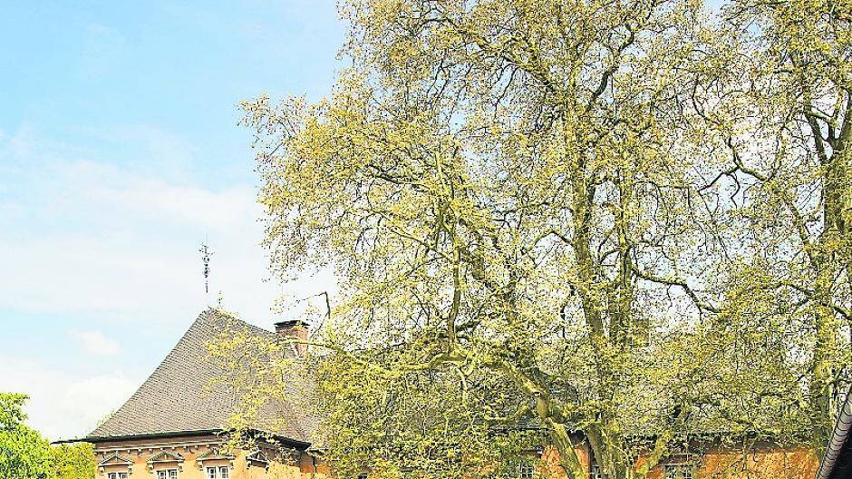 Vom 28. April bis 1. Mai öffnet die Gartenwelt Schloss Rheydt ihre Pforten.