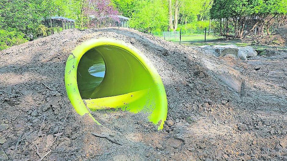  Der neue Spielturm wird künftig das optische Zentrum des Spielbereichs im Mönchengladbacher Tiergarten sein. 