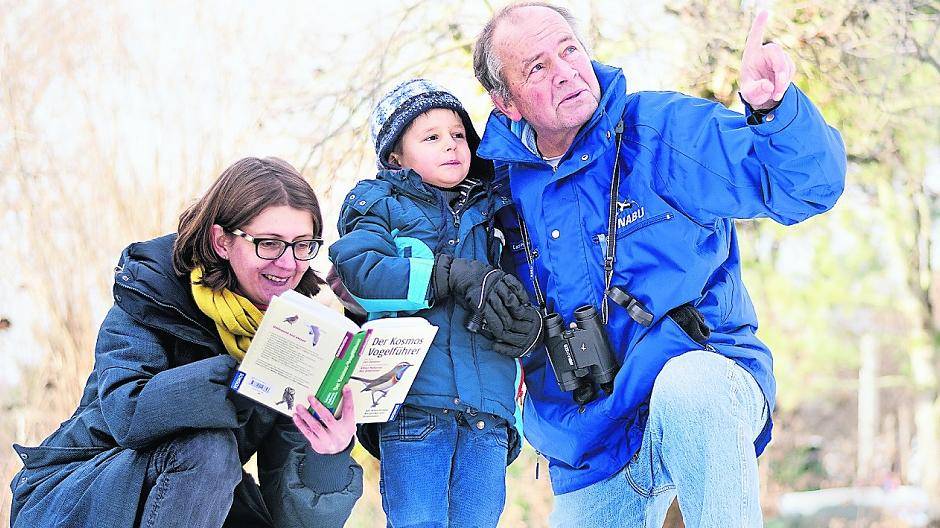 Eine Stunde Zeit nehmen und Vögel zählen. Foto: NABU/Sebastian Hennigs/ kleines Foto: Mike Lane/ fotolia.com