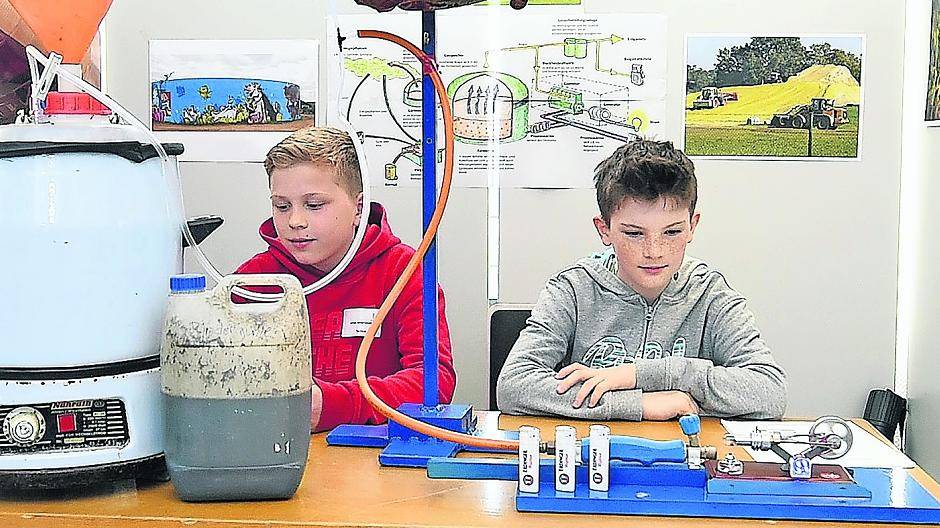 Sonderpreis für Tierkot-Experiment