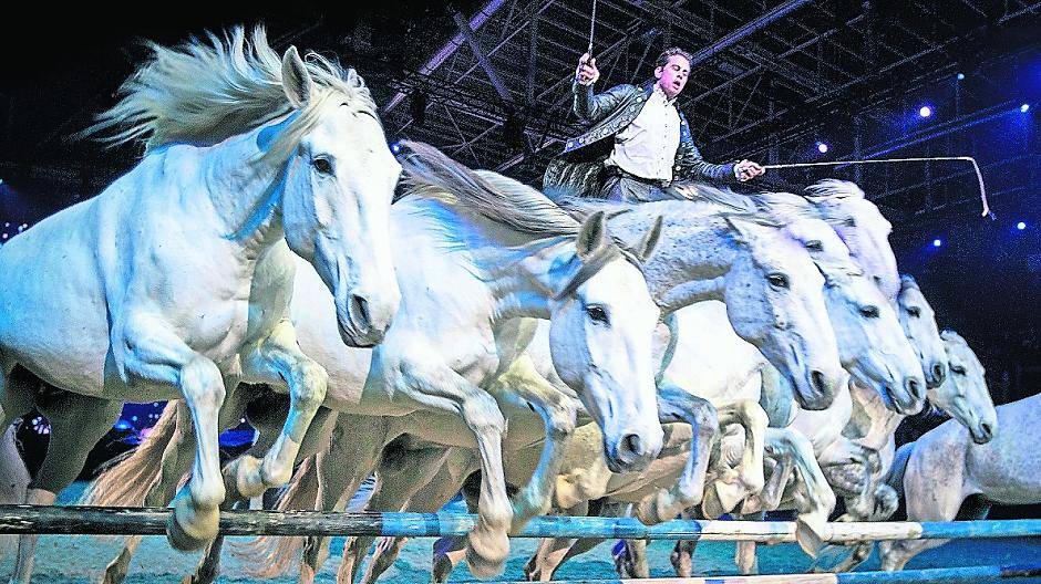 Berühmter Gast aus Frankreich: Lorenzo X gilt als Wunderknabe der Pferdeshowszene.