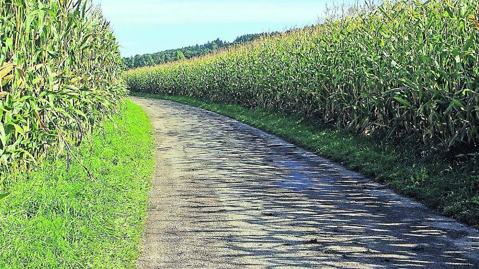 Die Belastung und Reparaturfälligkeit der Wirtschaftswege in der Gemeinde Schwalmtal nehmen zu.