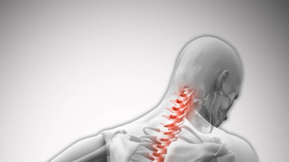  „Stärke deine Muskeln — bleib rückenfit“ - lautet das Motto des Tages der Rückengesundheit. 