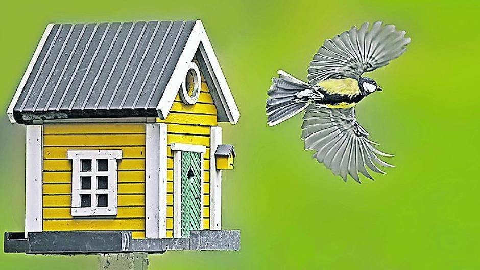 Nistkästen für Vögel sollten jetzt aufgehängt werden.