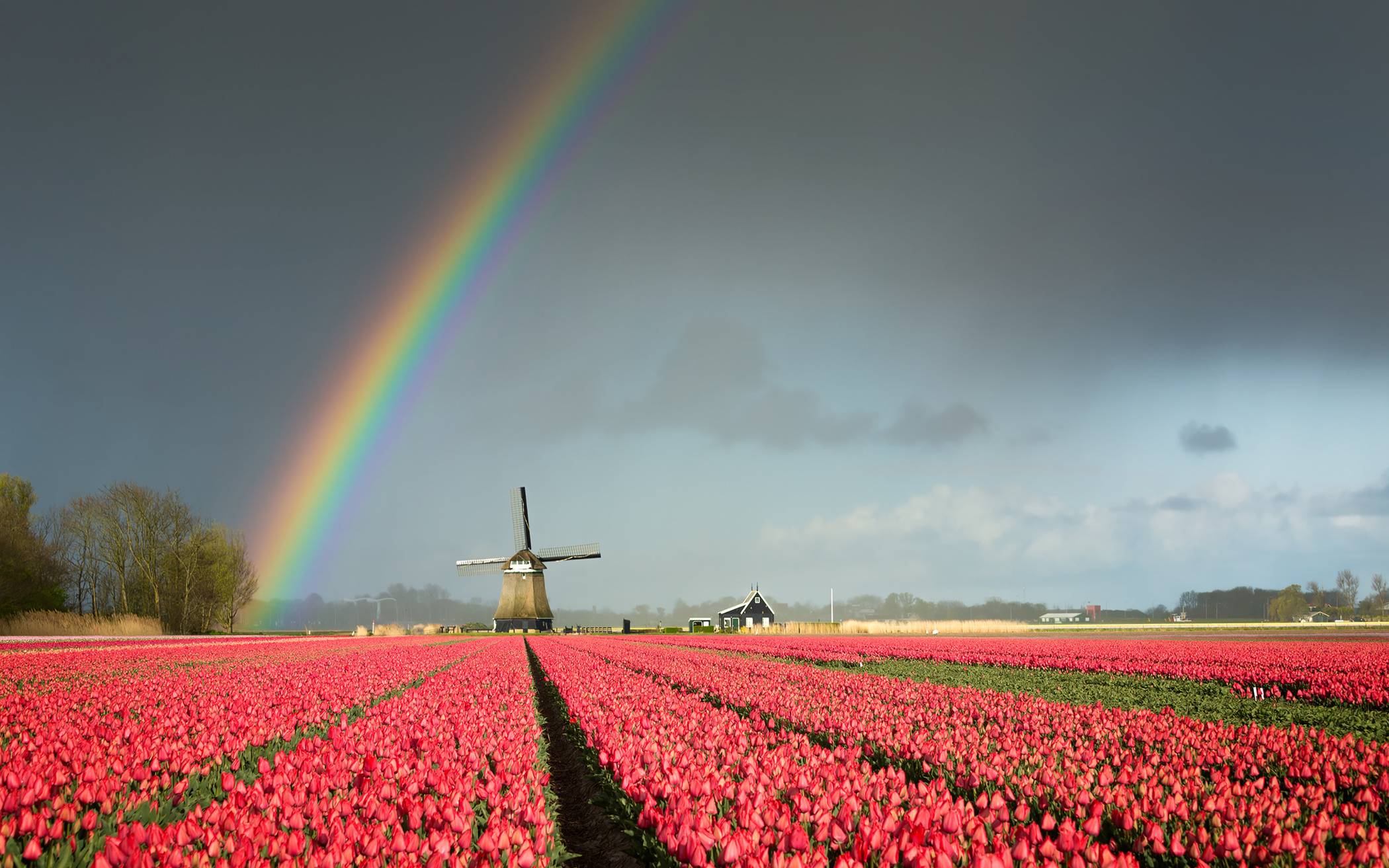 Regen und Gewitter dann wieder blauer