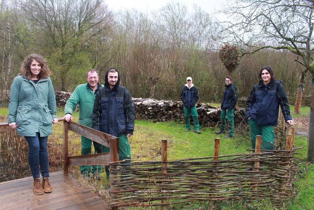 Freiwilliges ökologisches Jahr