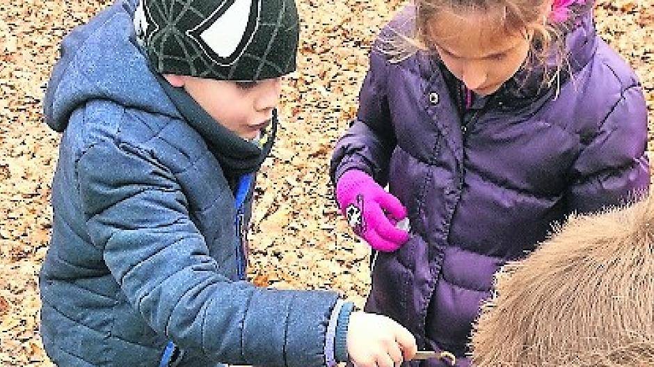  Foto: Naturpark Schwalm-Nette 