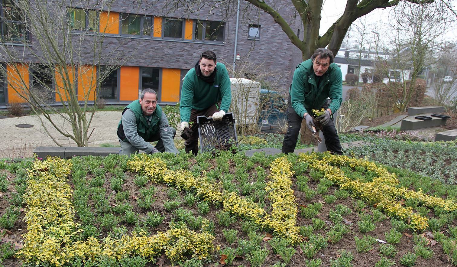  : Kreative Beet-Arbeit: LVR blüht auf