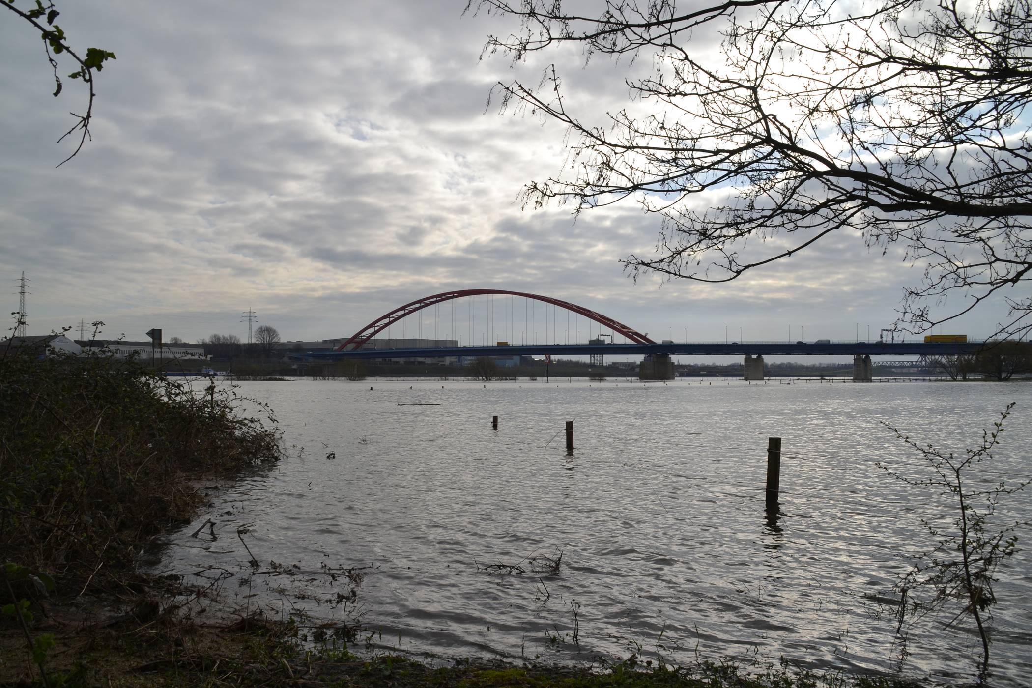  Hochwasserimpression am 20. März 2019, 9.30 Uhr: Blick auf die „Brücke der Solidarität“ von der Rheinhauser Seite. 