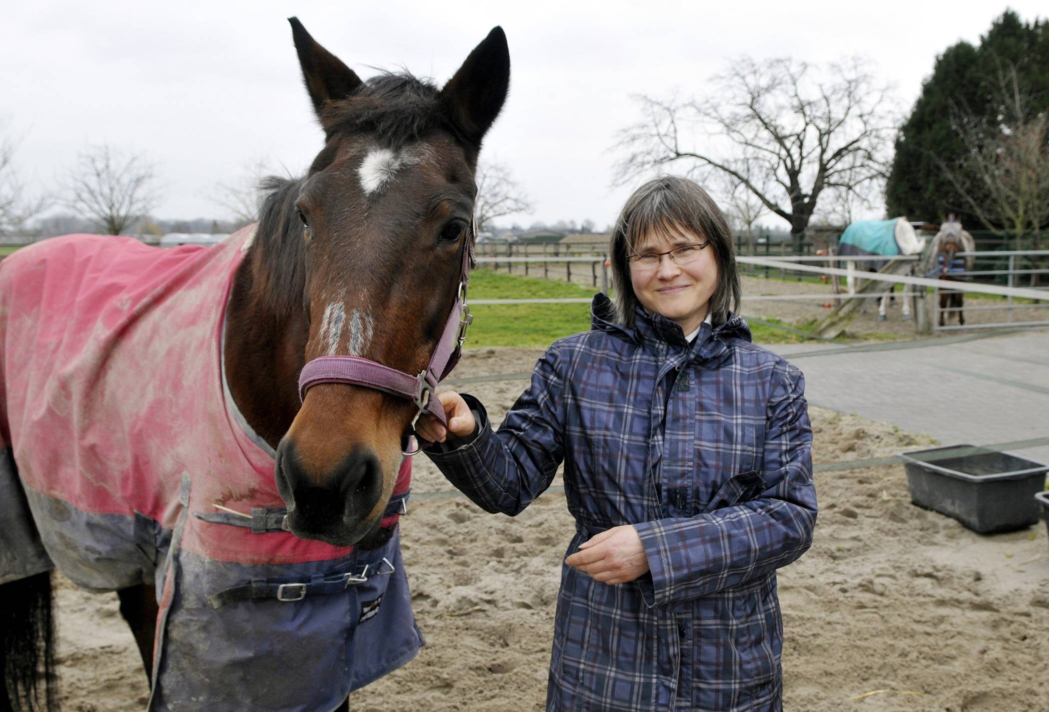  Wenn Not am „Mann“ ist, muss Petra Wintersohl aus Drolshagen kommen, um die Pferde zu versorgen. Ehrenamtler sind rar und machen auch mal Urlaub... Pferde-Omi Lisa, 26, ist der „jüngste“ Zugang auf dem Pferdeschutzhof. 