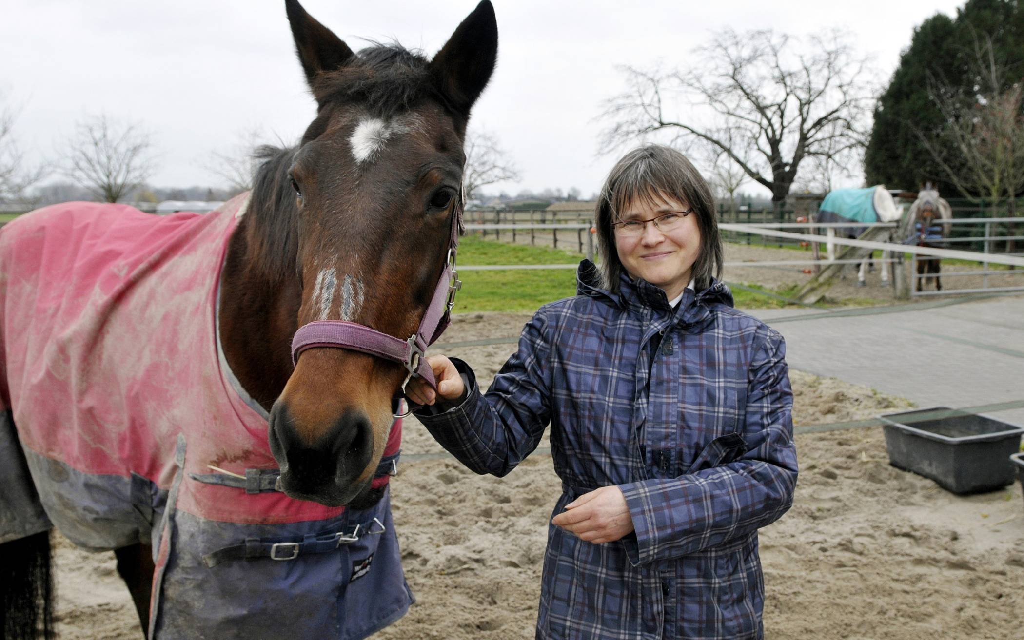 Wenn Not am „Mann“ ist, muss Petra Wintersohl aus Drolshagen kommen, um die Pferde zu versorgen. Ehrenamtler sind rar und machen auch mal Urlaub... Pferde-Omi Lisa, 26, ist der „jüngste“ Zugang auf dem Pferdeschutzhof.