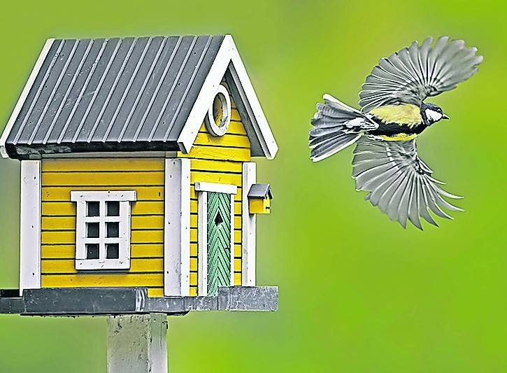 Nistkästen für Vögel sollten jetzt aufgehängt werden.