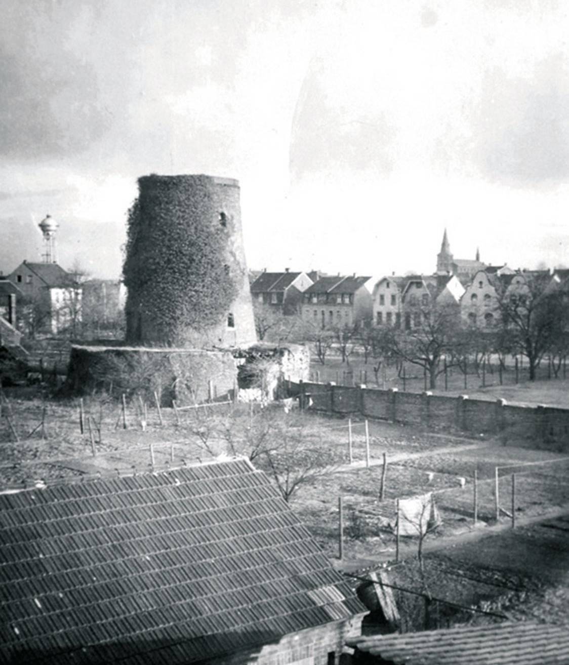 Lank-Latum in hundert Bildern