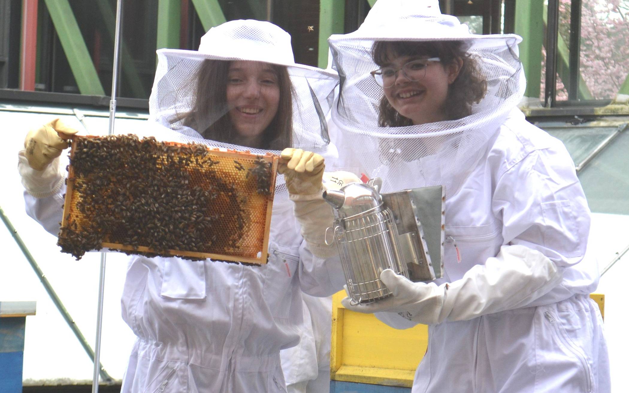 Bei dem Erasmus+ Projekt am Mathematisch-Naturwissenschaftlichen Gymnasium drehte sich alles um Bienen.