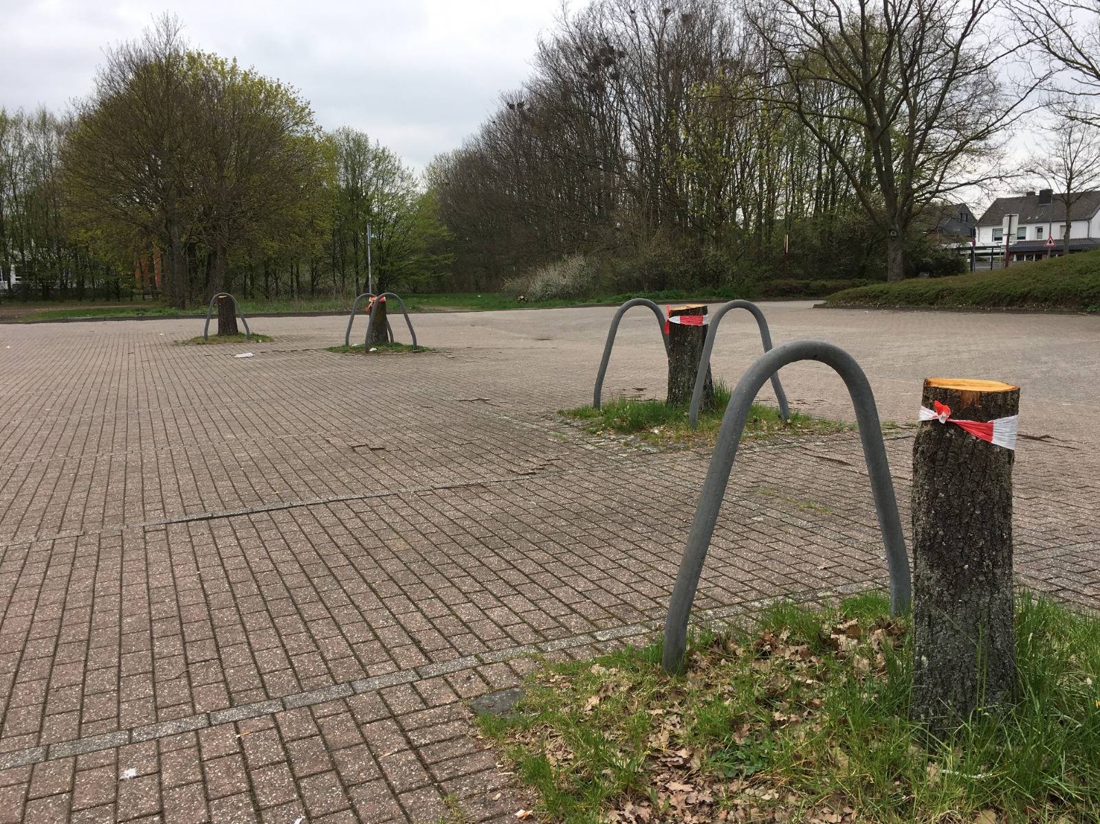  Elf Bäume wurden auf dem Parkplatz des Freizeitzentrums gefällt. 