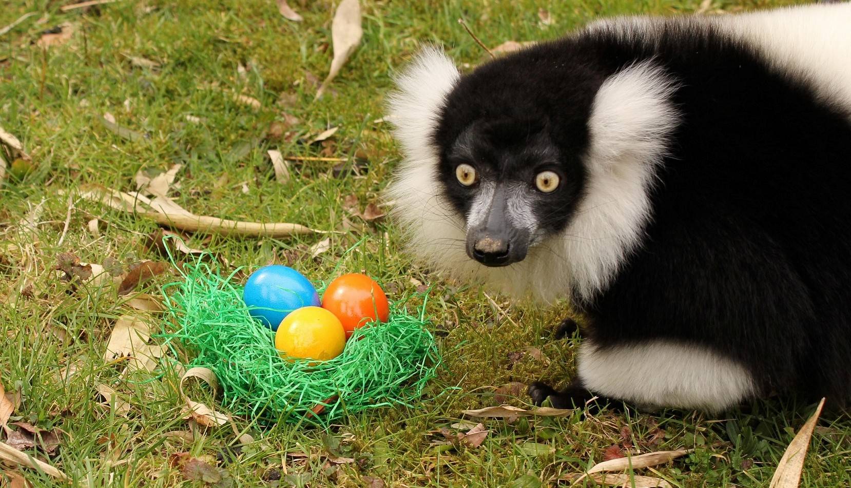  : Zoo mit Osteraktionen