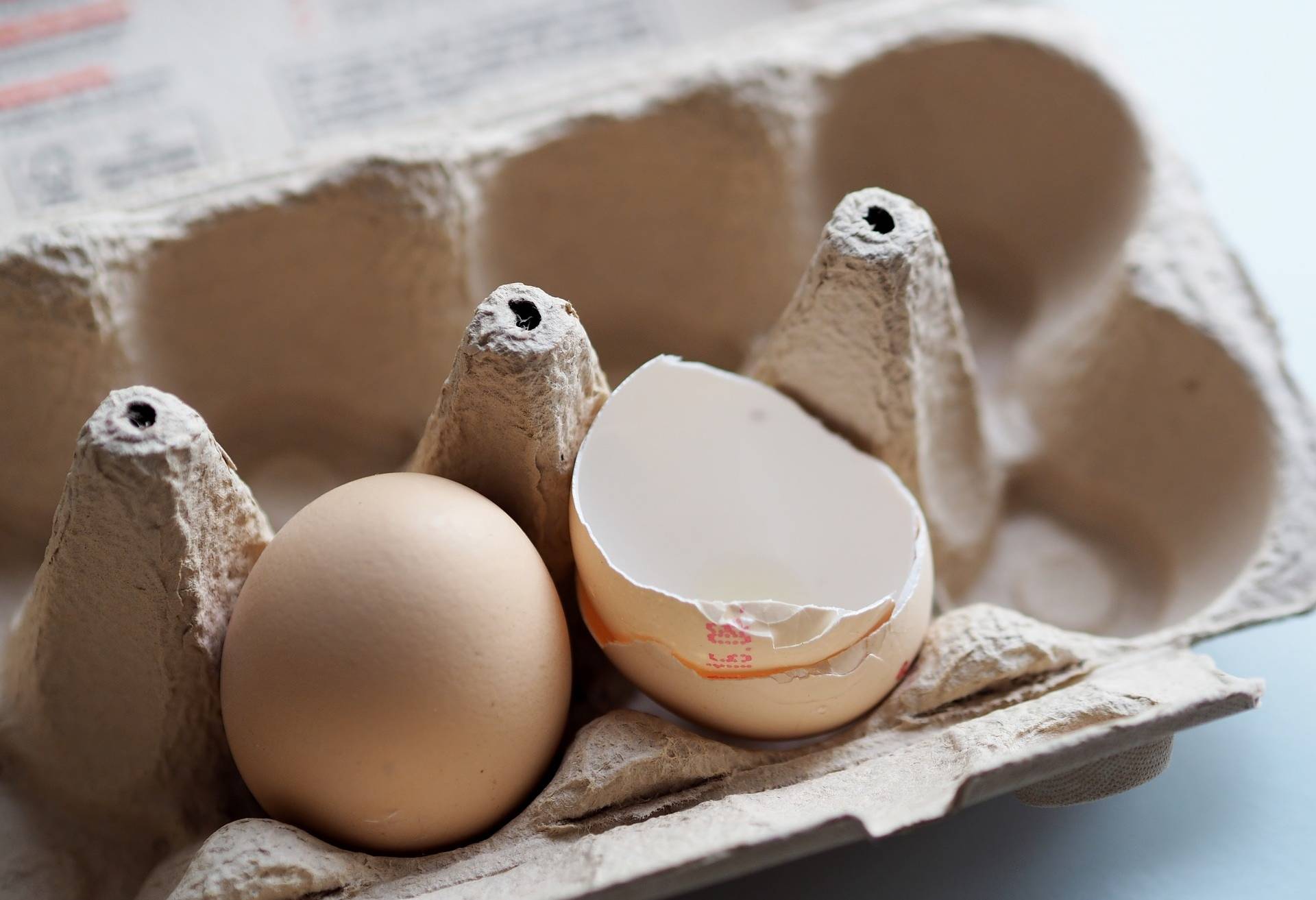 Nicht alle Eierproben waren einwandfrei.