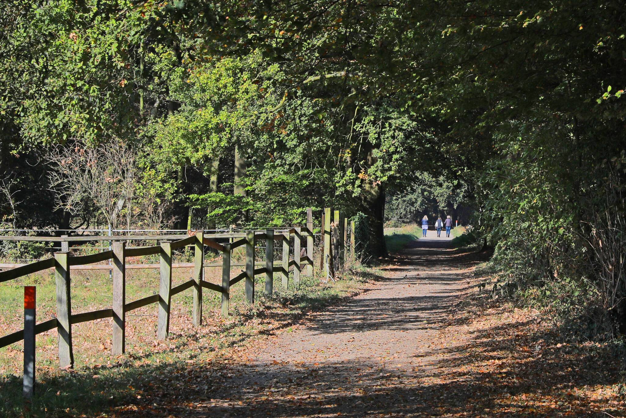 Der Kreis Viersen hat viele schöne Ecken - hier beispielsweise Wanderwege in Nettetal.