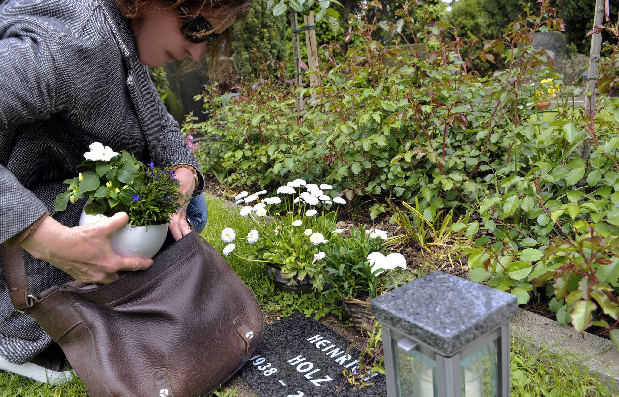 Sind das „ganz normale“ Leute, die die Friedhöfe als kostenlose Gartencenter betrachten? Nachgestelltes