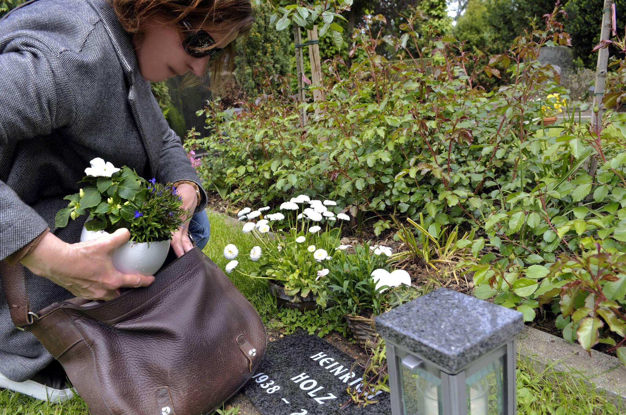 Sind das „ganz normale“ Leute, die die Friedhöfe als kostenlose Gartencenter betrachten? Nachgestelltes