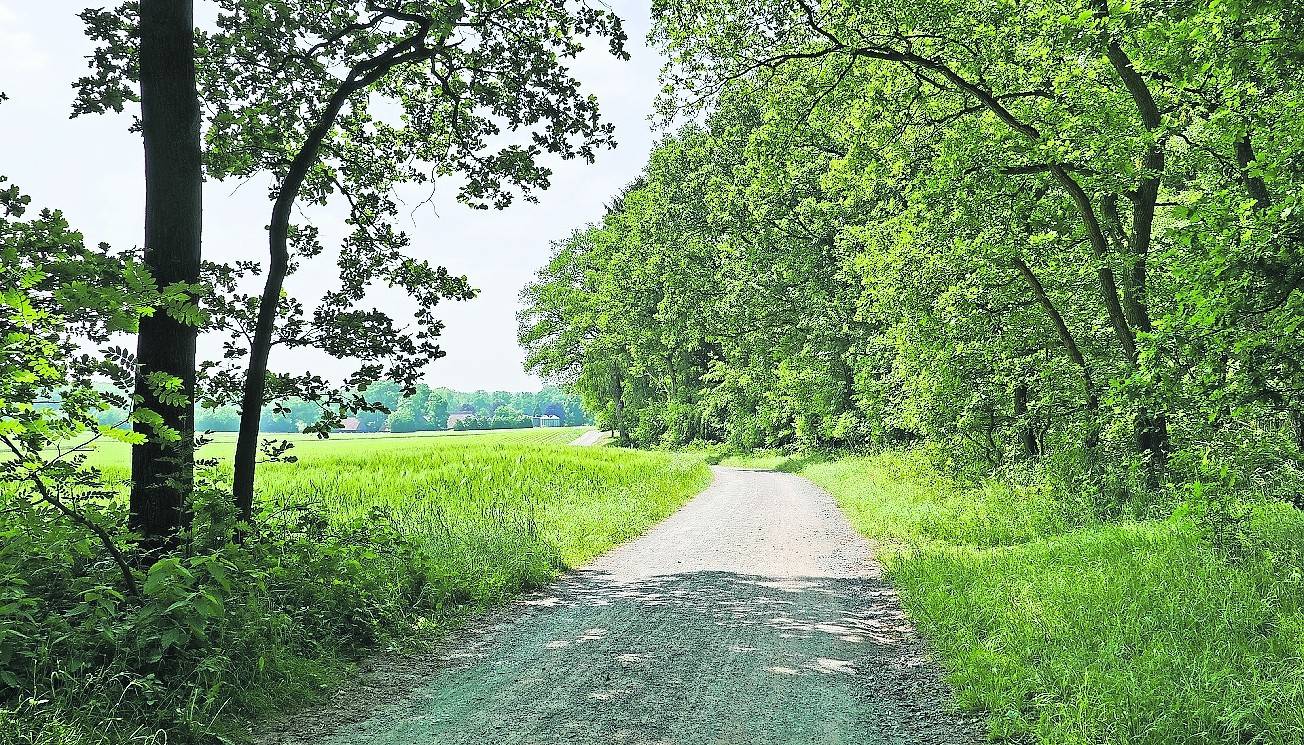 An vier Terminen im Juni finden Infoveranstaltungen zum Wirtschaftswegekonzept für Schwalmtal statt.