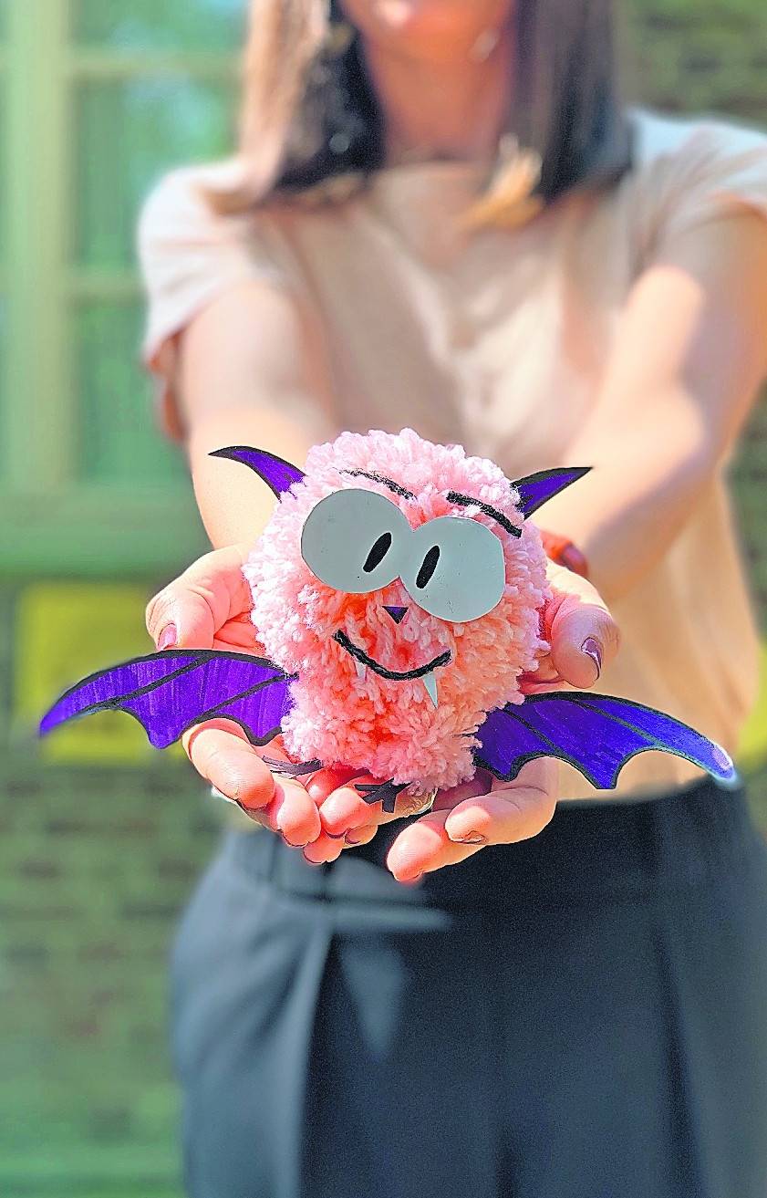 Noch ist dieses flauschige Etwas mit den Kulleraugen und süßen Eckzähnchen namenlos. Bis zum 1. Juli sind alle Kinder aufgerufen, der kleinen Fledermaus einen Namen zu geben.