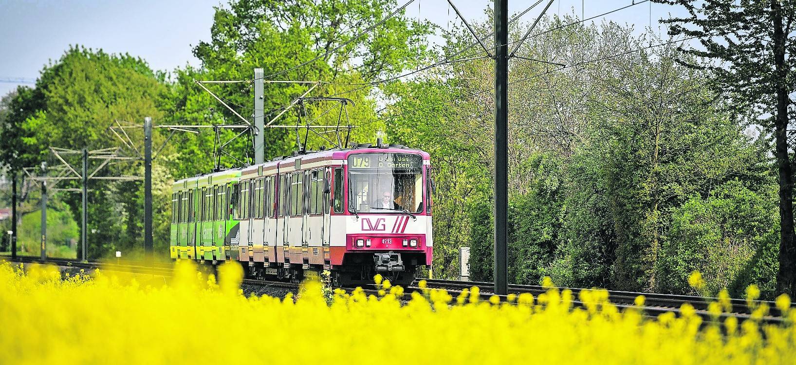 Gemeinsam sollen neue Straßenbahnen von der DVG und der Rheinbahn angeschafft werden.