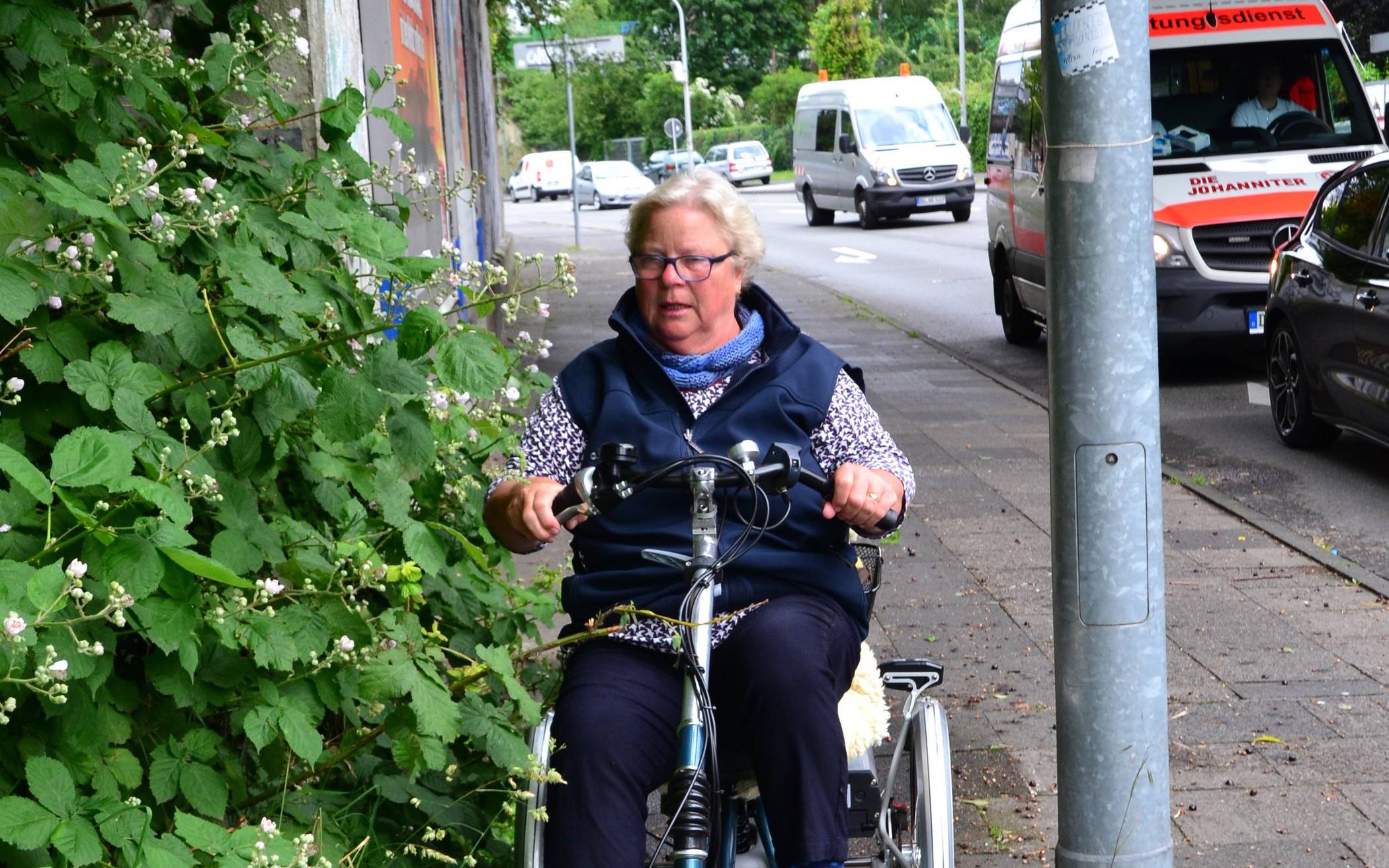 Hindernisse gibt es genug: Das nicht zurückgeschnittene Gebüsch verhindert ein gesichertes Durchkommen.