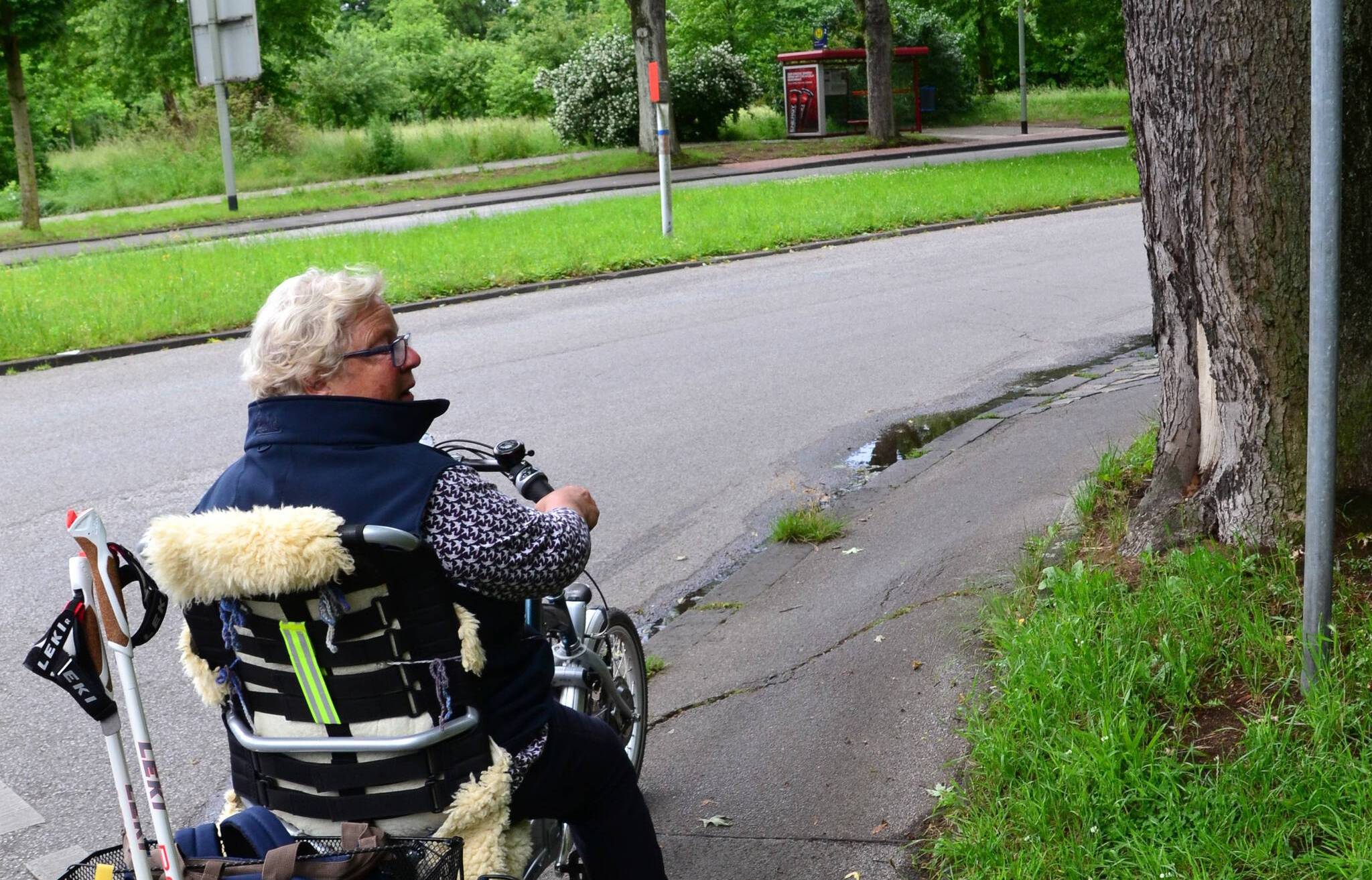 Auch Baumwurzeln, die den Fahrradwegbelag hochdrücken, werden zur "Stolperfalle". Besonders auf einem Fahrrad-Dreirad.