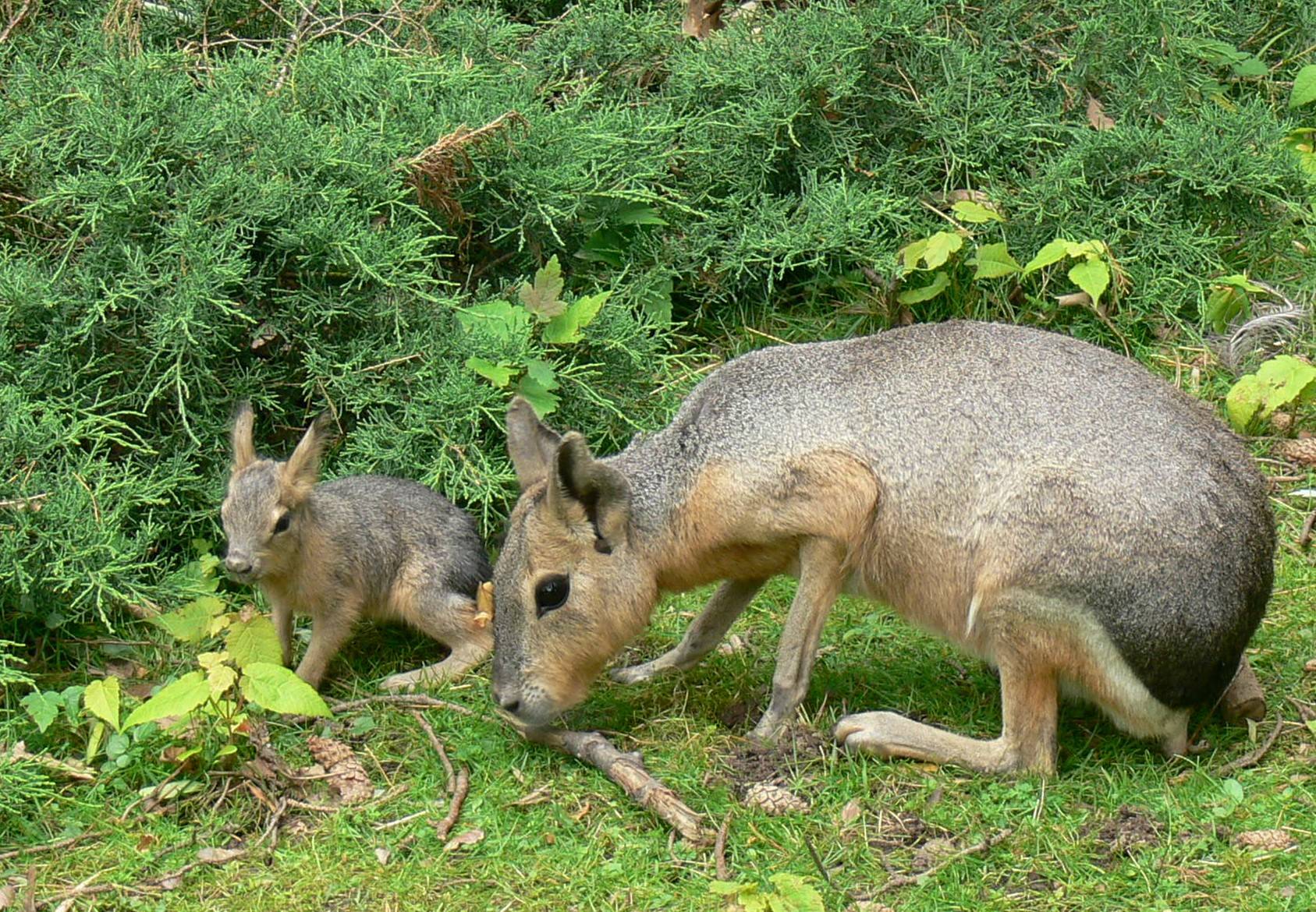  : Mara-Fotowettbewerb