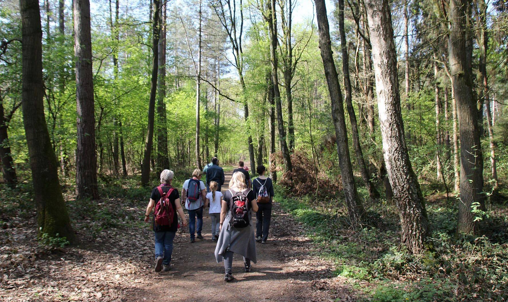  Der neue Veranstaltungskalender bietet neben Wanderungen zahlreiche Möglichkeiten der Freizeitgestaltung. 