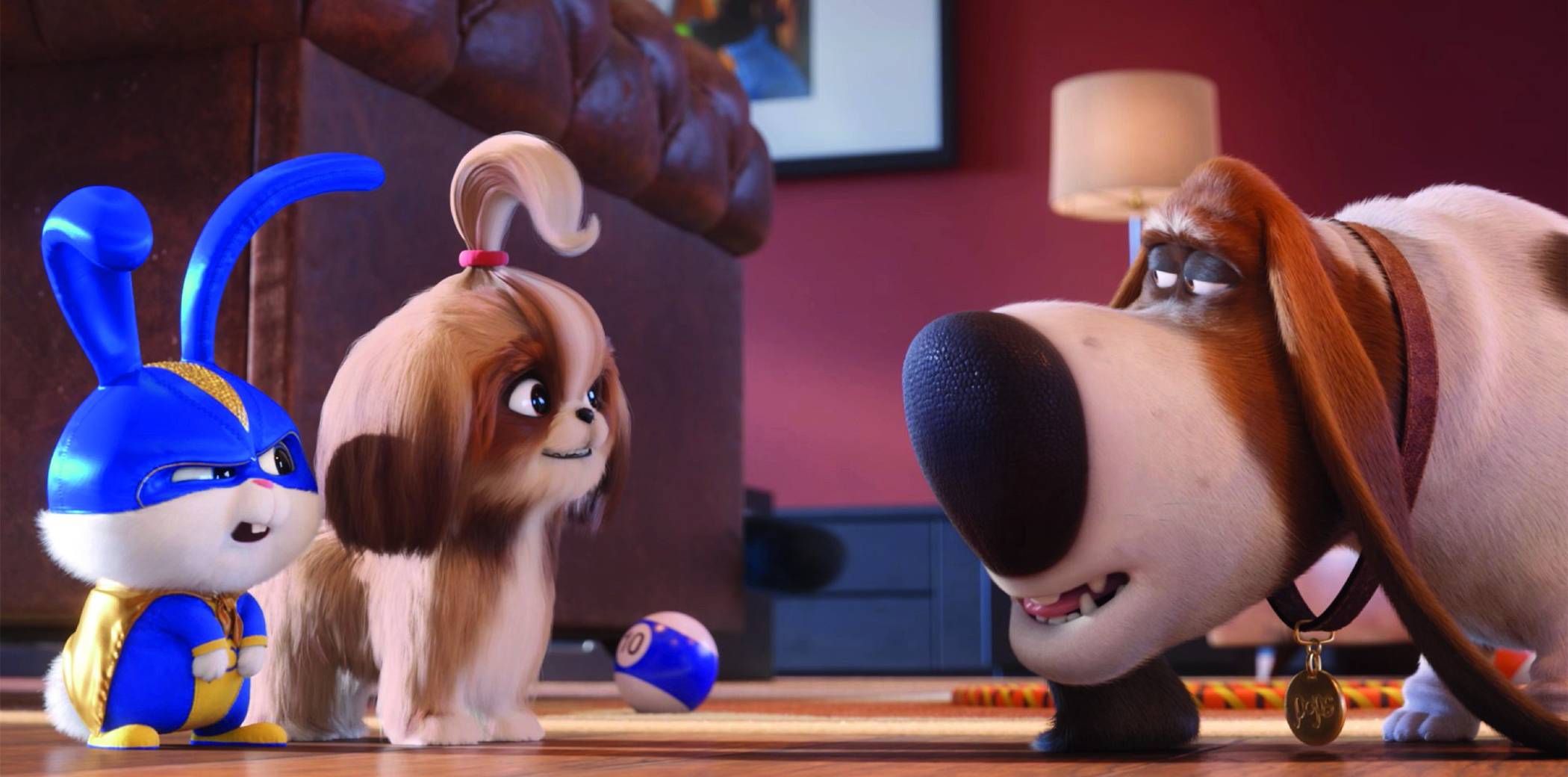  Die tierischen Helden aus „Pets“ sind zurück. 