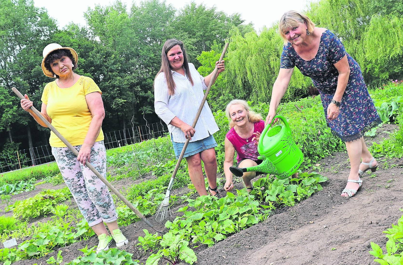  Erleben Gemeinschaft in der Natur: Marina Zitzer, Brigitte Wermke, Inge Jürgens und Angelika Riemann (v.l.). 