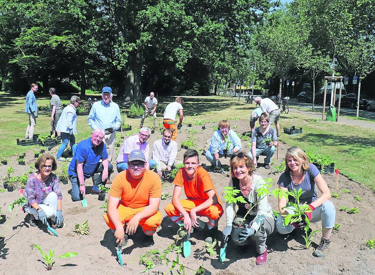 : 1400 Stauden für Insekten