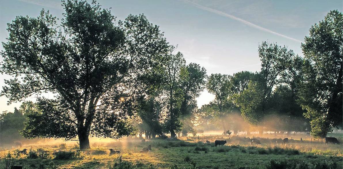 „Der renaturierte Salbruch zwischen Viersen und Anrath gehört zu den Lieblingsplätzen am Niederrhein.“