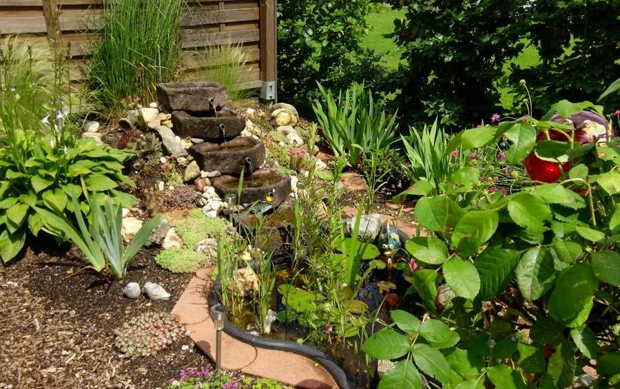  Angelika und Marcus Klein zeigen am Sonntag, 21. Juli, von 10 bis 17 Uhr ihren Mischgarten. 