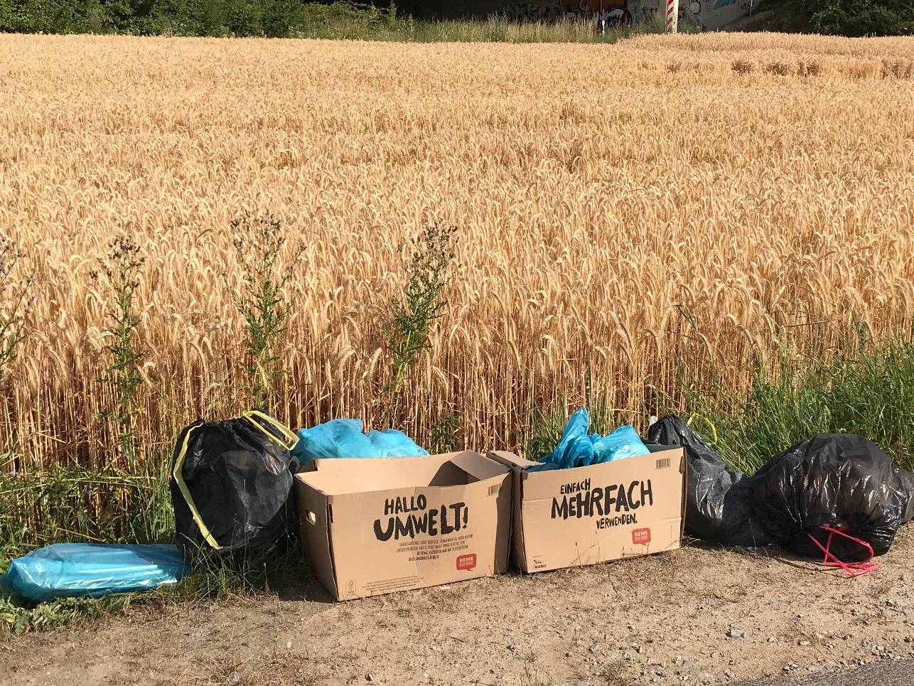  : Wilder Müll und purer Hohn