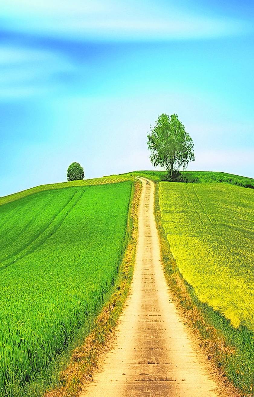  Es ist ein langer Weg, um die Bäume zu pflegen. Aber es lohnt sich alle Male. 