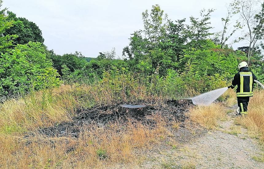 Gras und ein Baumstumpf am Burgwall brannten am vergangenen Dienstag.