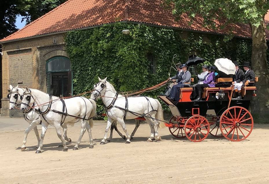 Der Concours d’Elegance findet zum ersten Mal beim Fest am See statt. An der prächtigen Kutschen-Ausfahrt nehmen rund 25 historische Pferdegespanne teil.