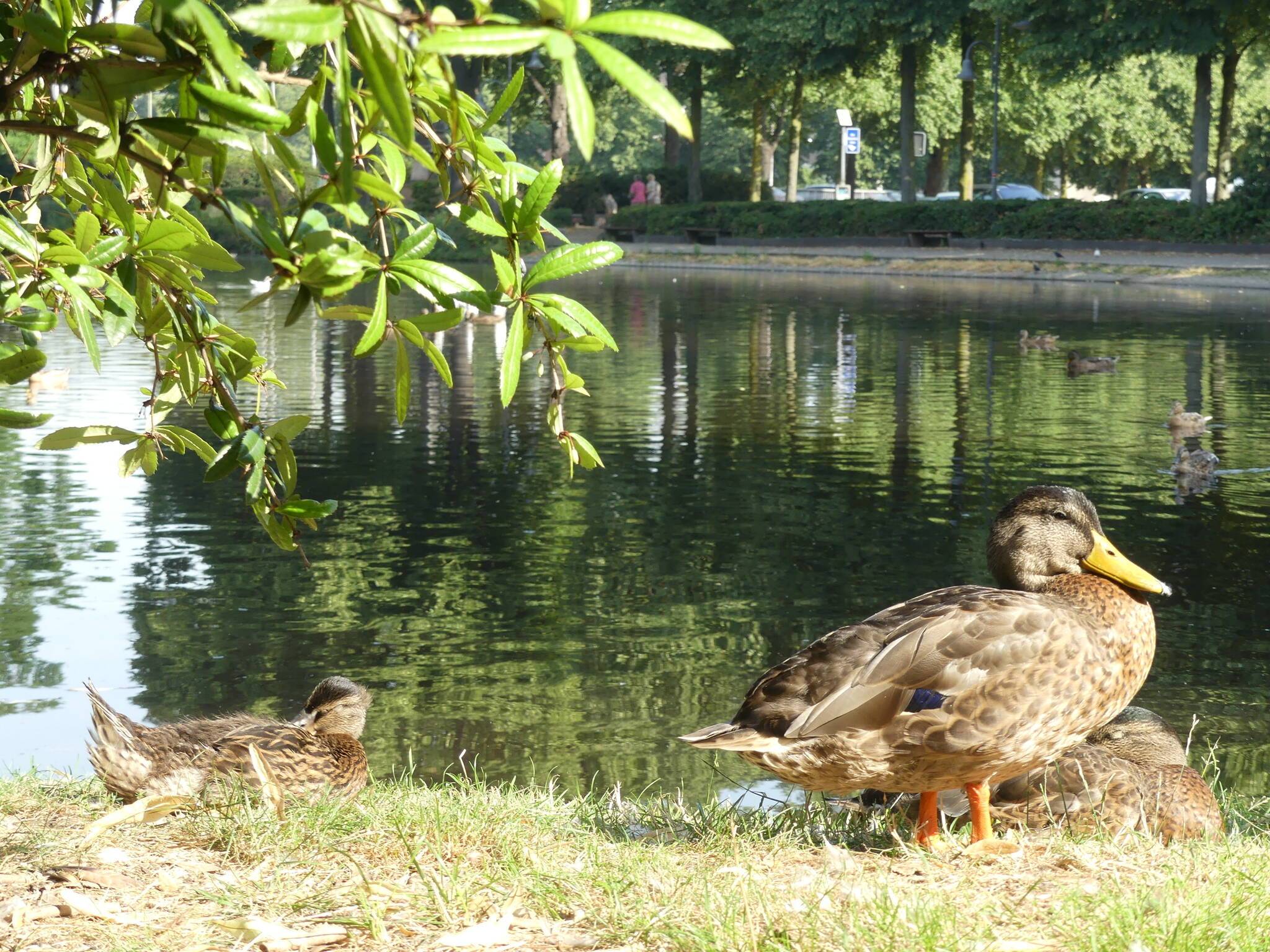  Am Dienstag, 30. Juli, beginnen die Arbeiten am Königssee. 