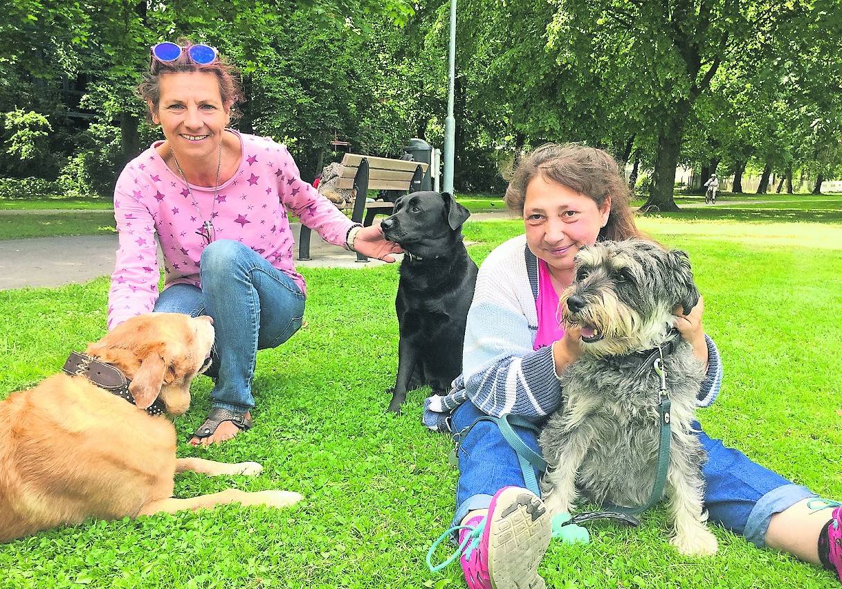 Die Wohnungssuche mit Hund gestaltet sich schwierig für Nicole Remy mit ihren Hunden Blade (l.) und Sören und für Maria Venturi mit ihrem Schnauzer Sveva (r.).