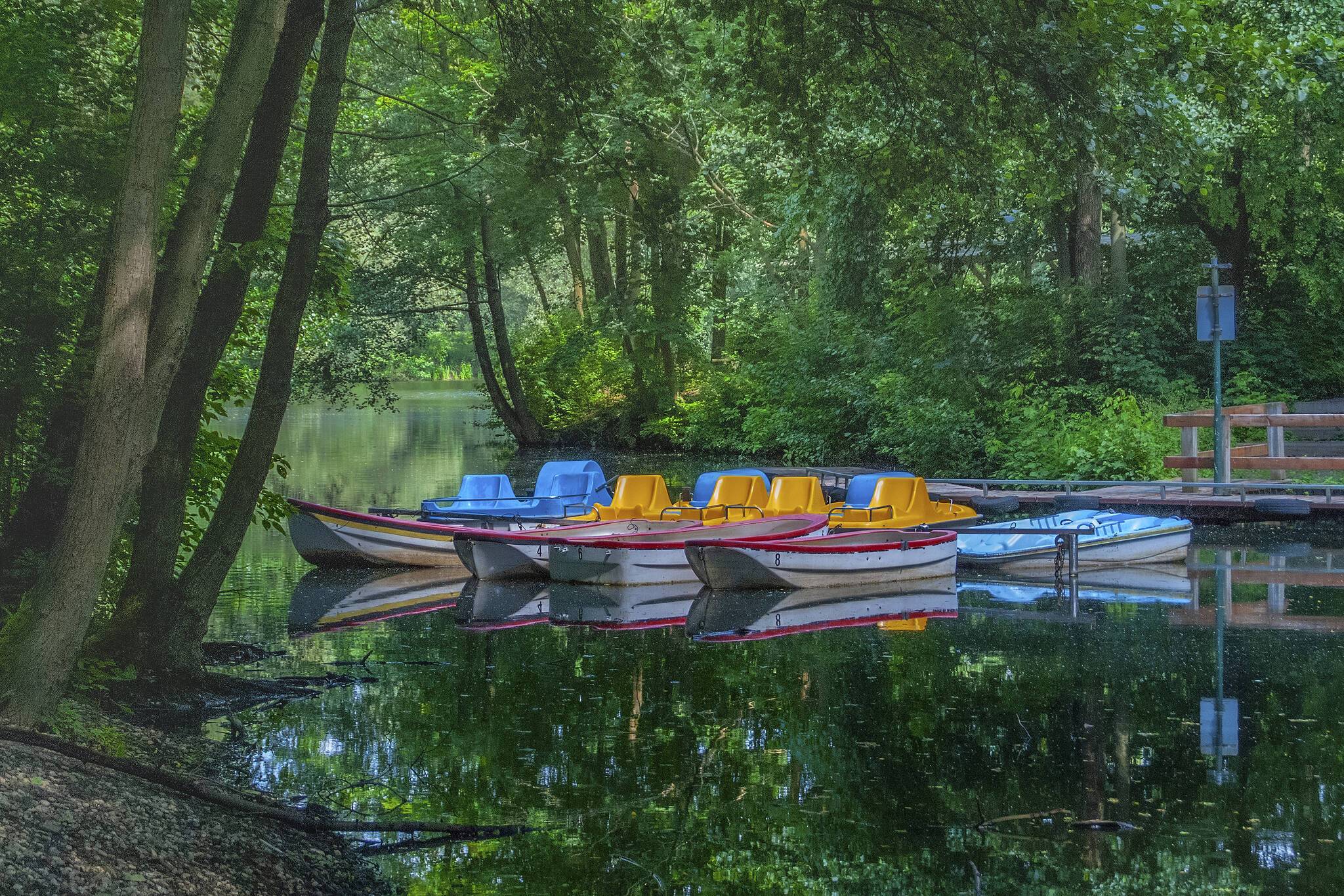 Die Revierparks haben sich in den 50 Jahren ihres Bestehens zu grünen Oasen am Rande der Großstädte entwickelt. Hier ein Bild aus dem Dortmunder Revierpark im Stadtteil Wischlingen. 