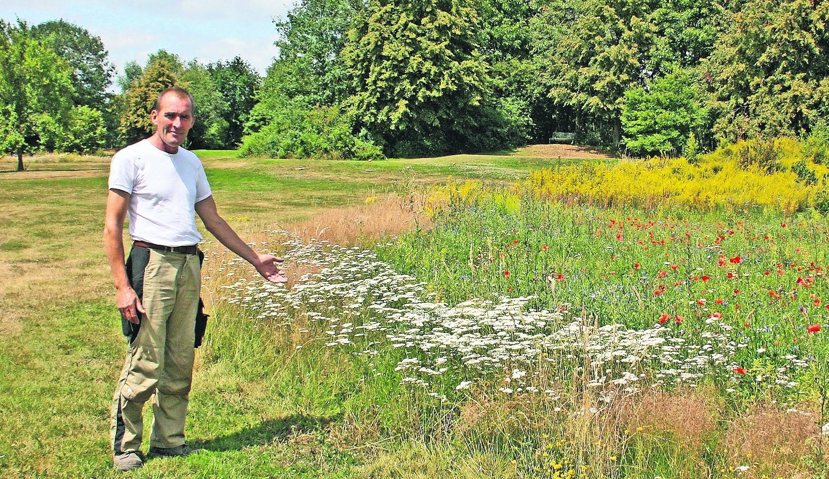 Die Wildblumenflächen auf dem Golfplatz werden von den Insekten gut angenommen. Andrew Buck deutet auf Kohlweißlinge, die über den Blüten flattern. Zudem fliegen zahlreiche Hummeln von Blüte zu Blüte.
