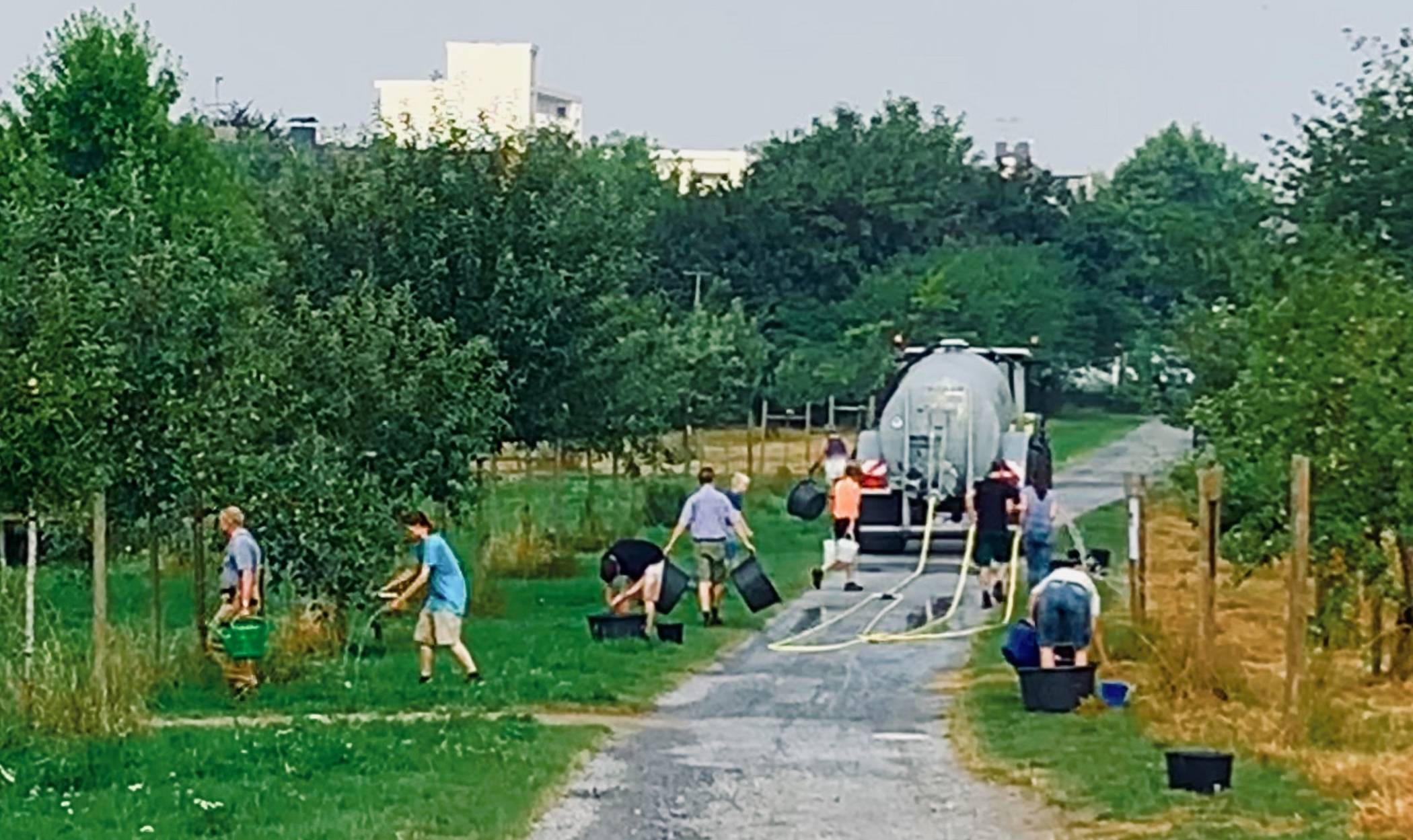  Im Jubiläumsgarten in Dülken haben bei einer Gießaktion rund ein Dutzend Bürger geholfen. 