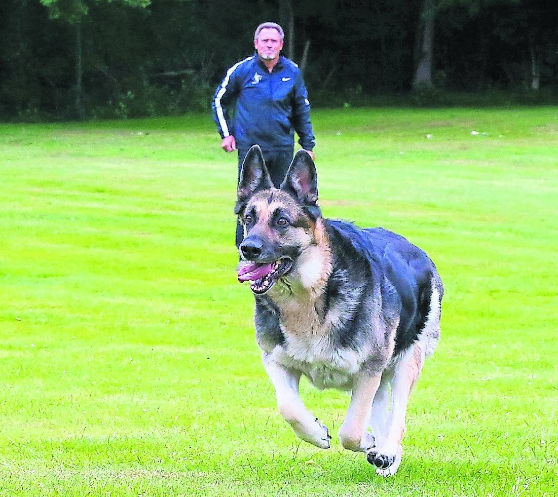  : Vierbeinige Weltmeister aus Krefeld