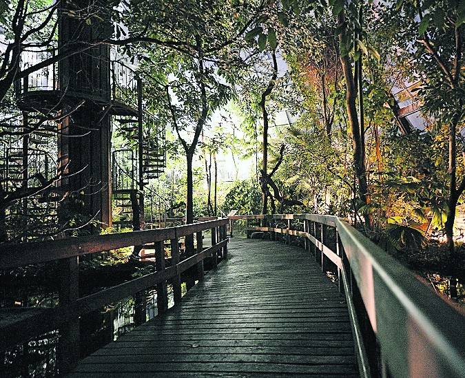 Das Regenwaldhaus bei Nacht, ein Erlebnis der besonderen Art bei der Nachtsafari im Zoo Krefeld.