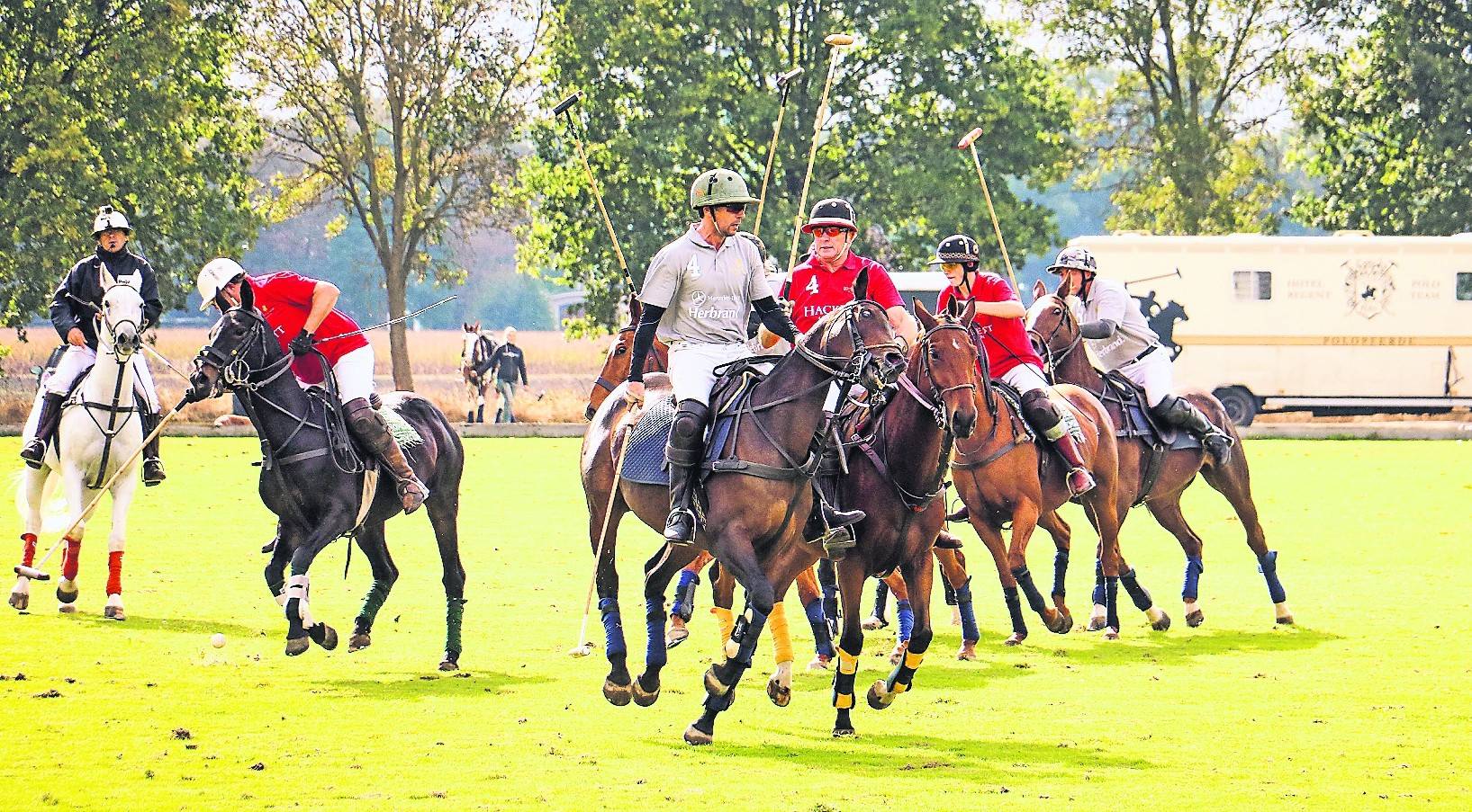 Da sich der Poloschläger beim Ausholen im Pferdeschweif verfangen würde, ist dieser meist bandagiert.