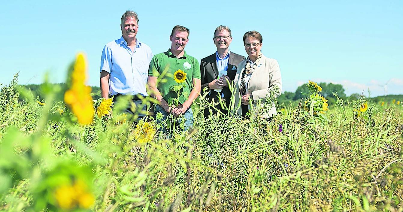 v.l: Volker Große vom Planungsamt des Rhein-Kreises Neuss, Landwirt Stefan Schwengers, Kreisdezernent Karsten Mankowsky und Bürgermeisterin Ulrike Nienhaus beim Ortstermin in Kaarst.
